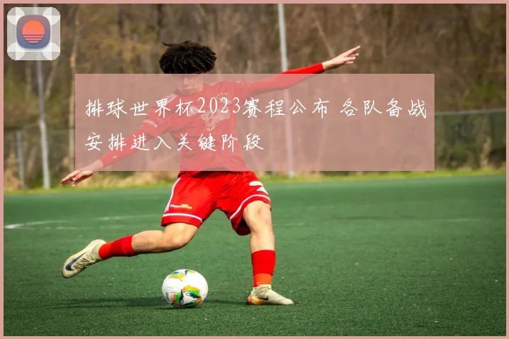 排球世界杯2023赛程公布 各队备战安排进入关键阶段