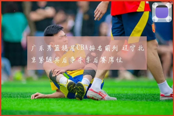 广东男篮稳居CBA排名前列 辽宁北京紧随其后争夺季后赛席位