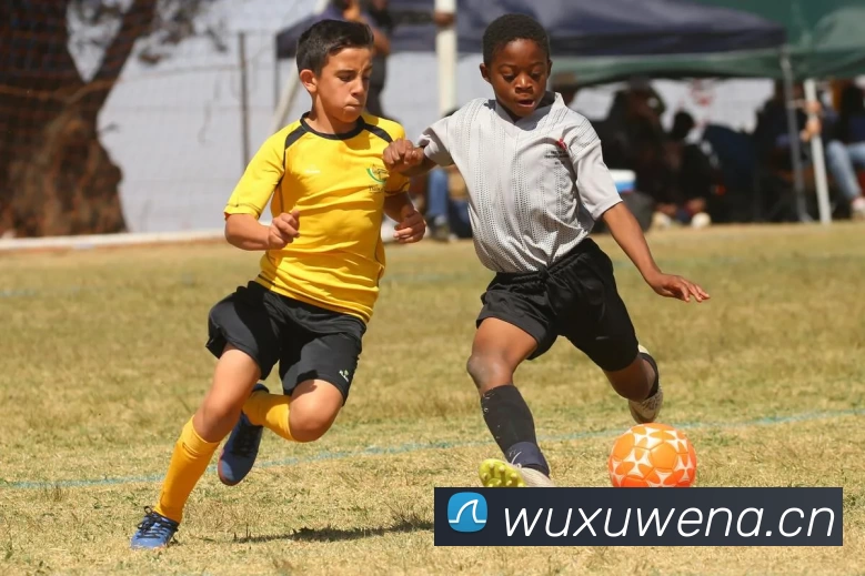 滚球买球的app官网平台生态图